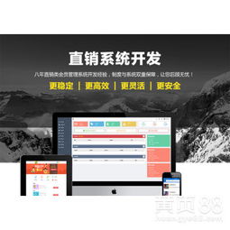 山東直銷管理軟件公司 引領企業(yè)數(shù)字化轉型的軟件開發(fā)專家