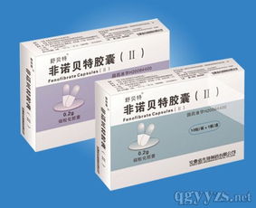 非諾貝特膠囊II 機制、臨床應用與注意事項全解析